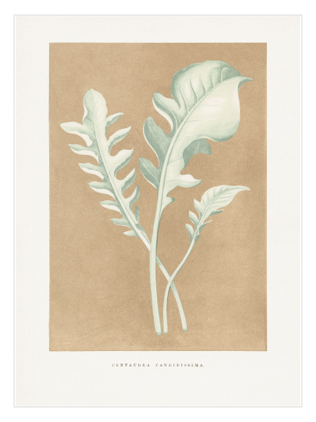 Calm Fields Set – Doga Temali Poster Koleksiyonu - Görsel 6