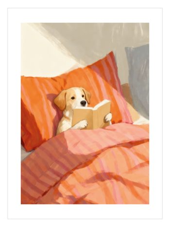 Cozy Reader