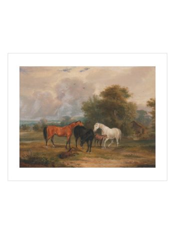 Horses Grazing Poster – Kırsalda Atlar ve Tayların Sakin Anı