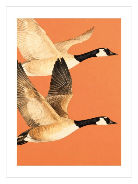 Flying Geese Poster – Uçan Kazlar Tablo 