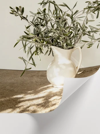 Doğal ışıkta zeytin dalları dekoratif sanat posteri