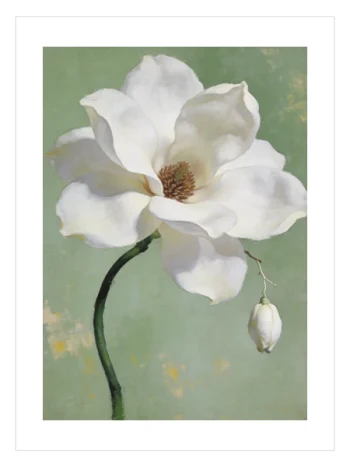 Beyaz manolya çiçeği yağlı boya stilinde duvar posteri