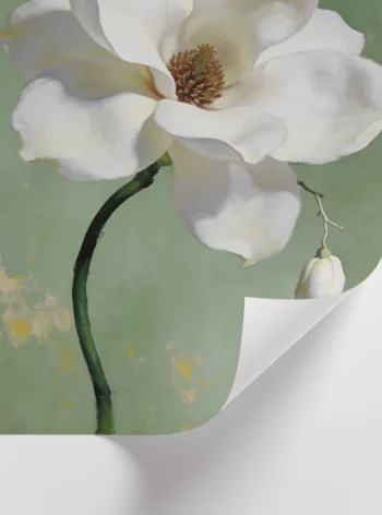 Zarif beyaz manolya çiçeği modern floral poster