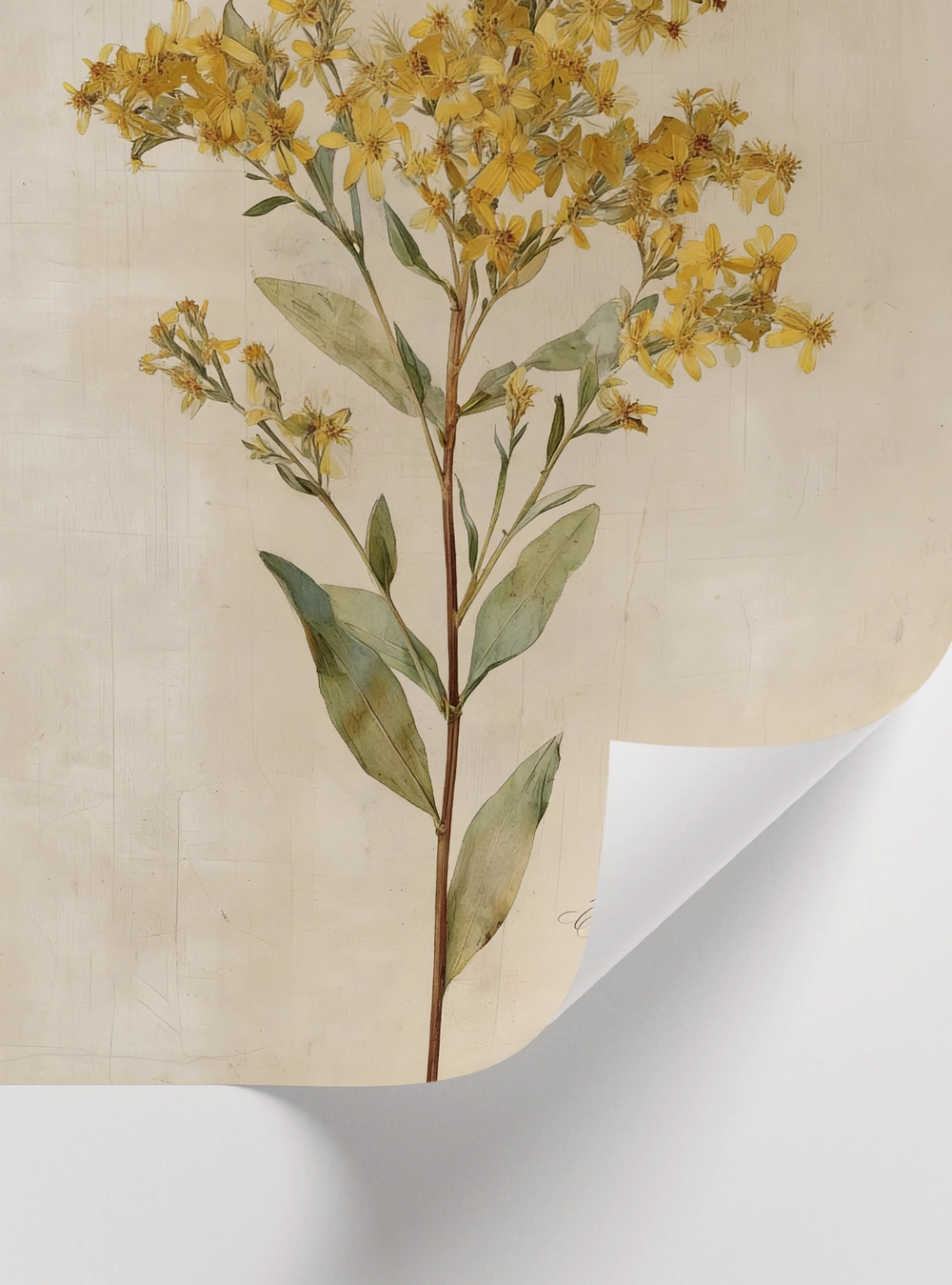 Serçe illüstrasyonlu poster ve botanik çiçek tablosu ile uyumlu Soft Earth Poetry üçlü duvar seti