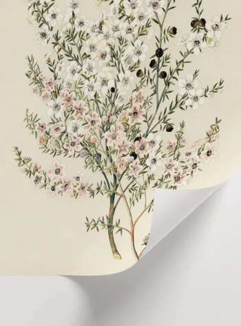 İnce dallı çiçek kompozisyonlu floral dekor posteri