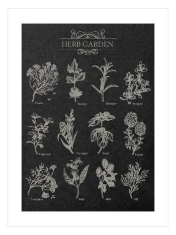 Herb Garden vintage mutfak bitki posteri