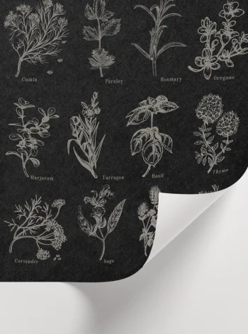 Bitki illüstrasyonlu dekoratif poster