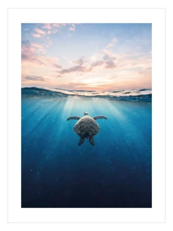 Sea Turtle Ocean Poster — Deniz Kaplumbağası Okyanus Manzarası