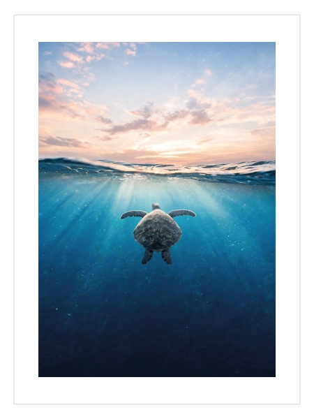Sea Turtle Ocean Poster — Deniz Kaplumbağası Okyanus Manzarası