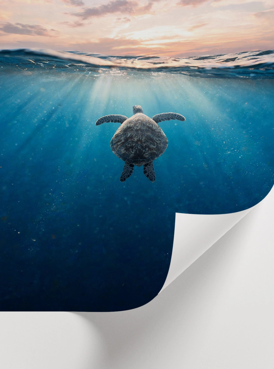 Sea Turtle Ocean Poster — Deniz Kaplumbağası Okyanus Manzarası - Görsel 2