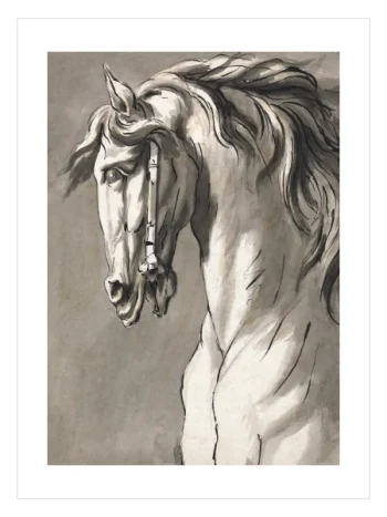 Study of a Horse's Head tablosu, John Michael Rysbrack'ın klasik at çizimi.