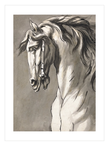 Study of a Horse's Head tablosu, John Michael Rysbrack'ın klasik at çizimi.