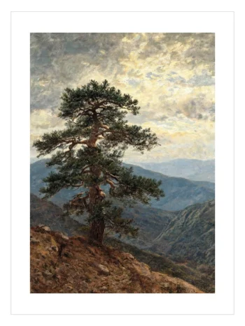 Mountain Pine Vista Poster – Dağ Çamı Manzarası