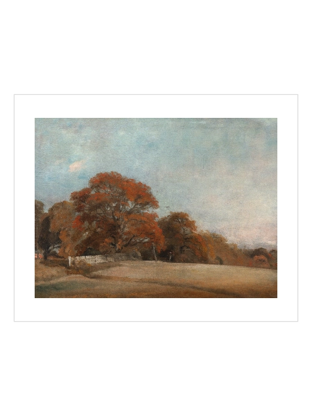 Autumn Grove Landscape Poster — Sonbahar Korusu Manzarası