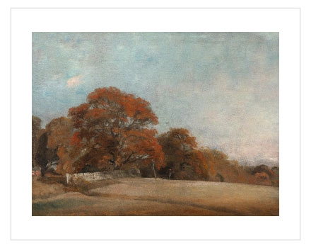 Autumn Grove Landscape Poster — Sonbahar Korusu Manzarası - Görsel 4